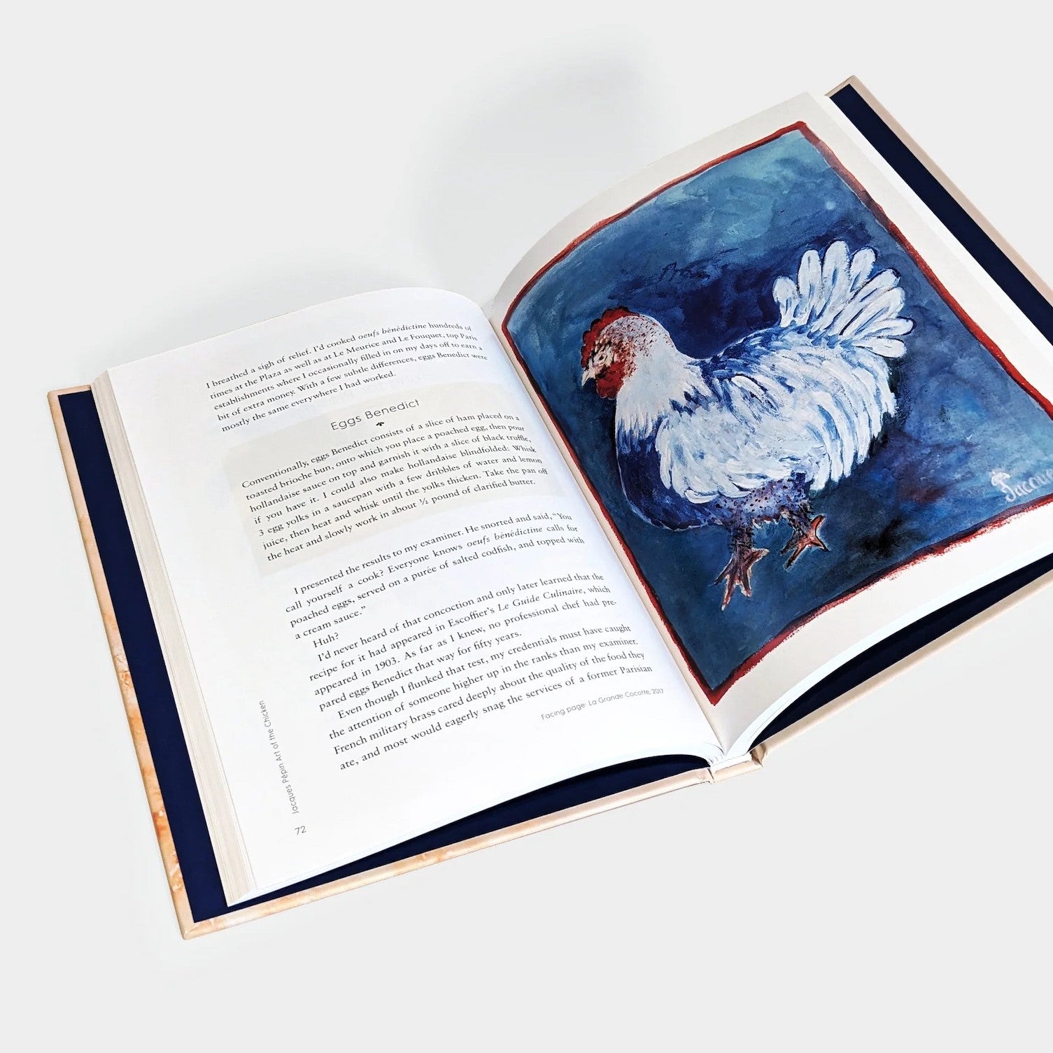 Art of chicken book inside