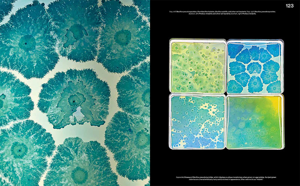 Beautiful bacteria book open