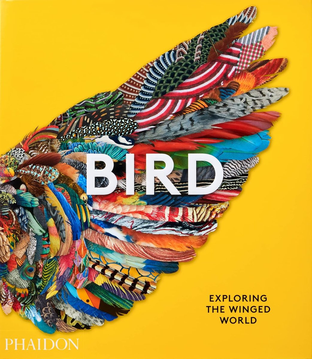 Bird book cover