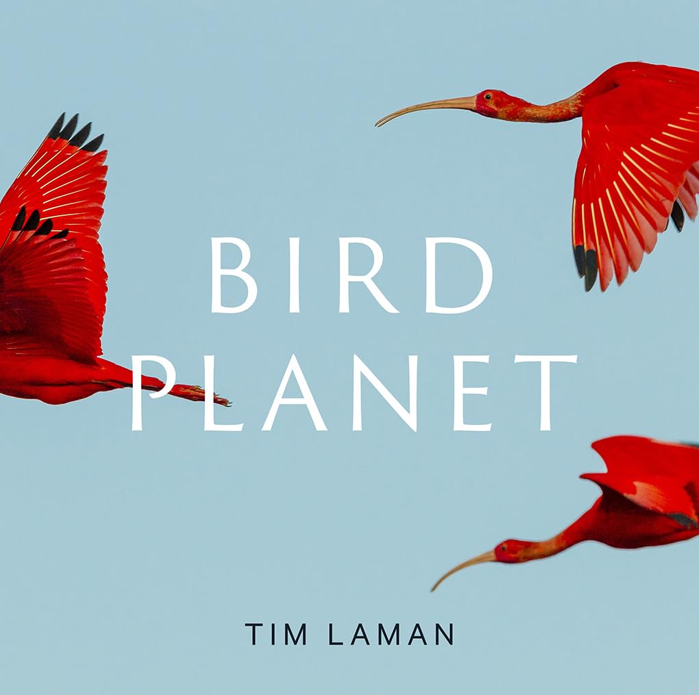 Bird Planet book cover