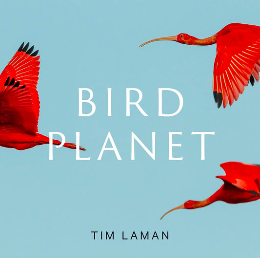 Bird Planet book cover