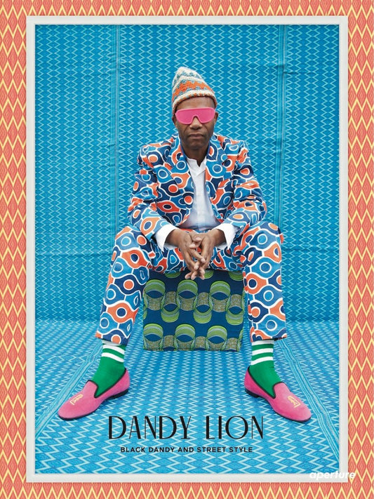 Dandy Lion book cover