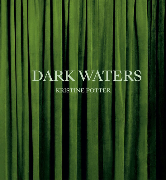 Dark Waters book cover