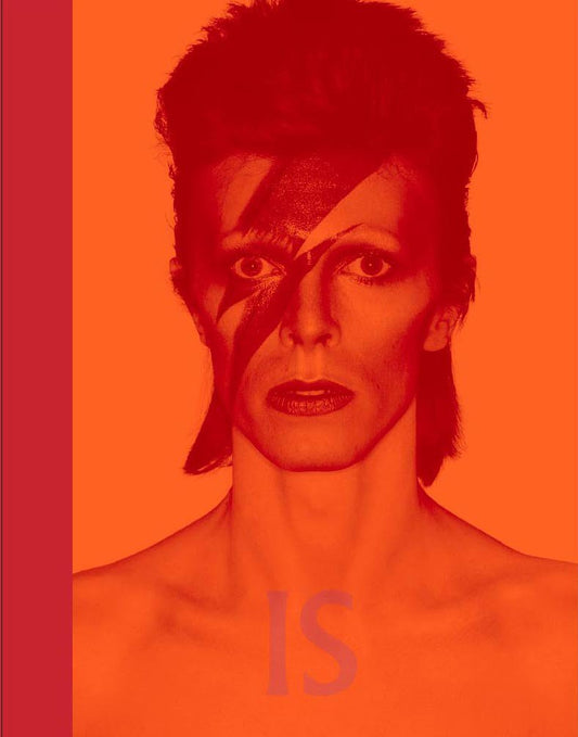 David Bowie Is... book cover