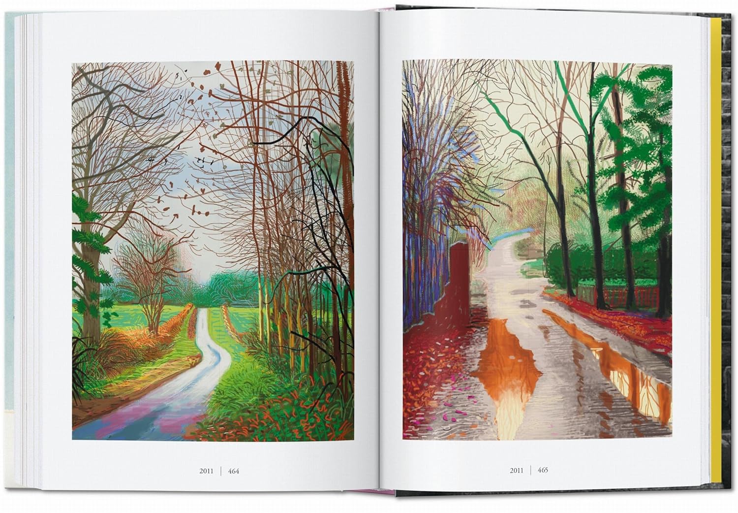 David hockney book inside