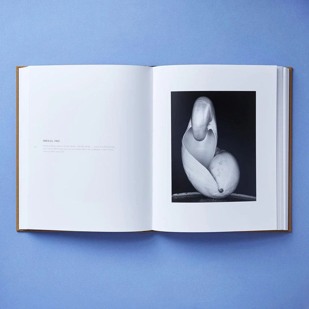 Edward weston book inside