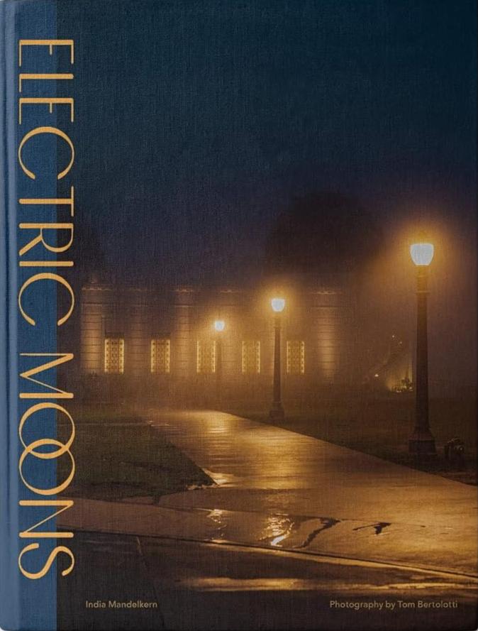 Electric Moons book cover