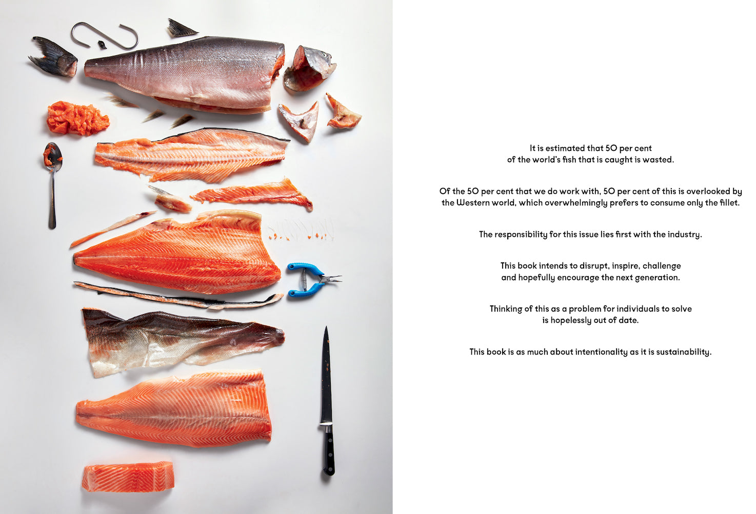 Fish butchery book inside