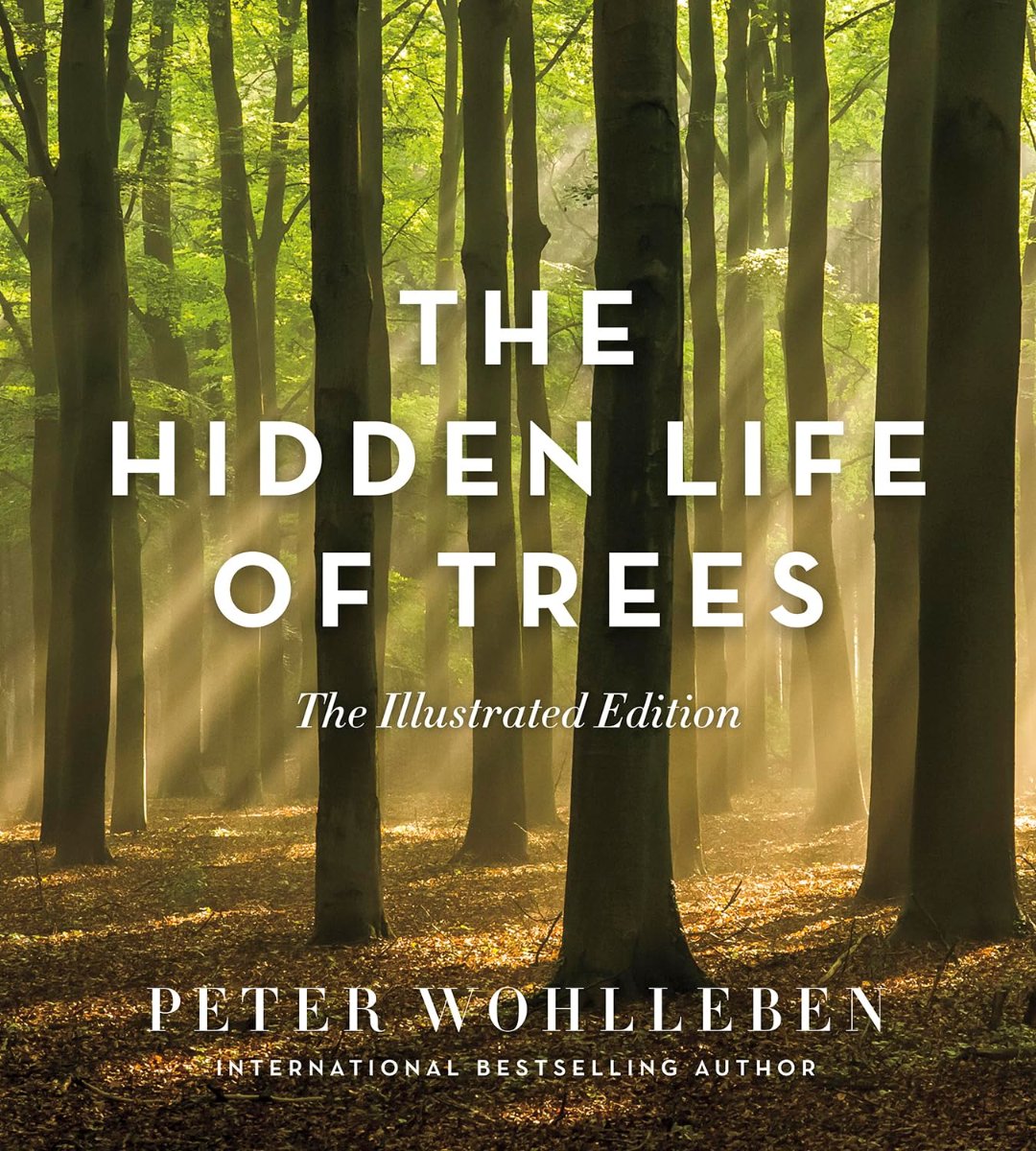 The Hidden Life of Trees book cover