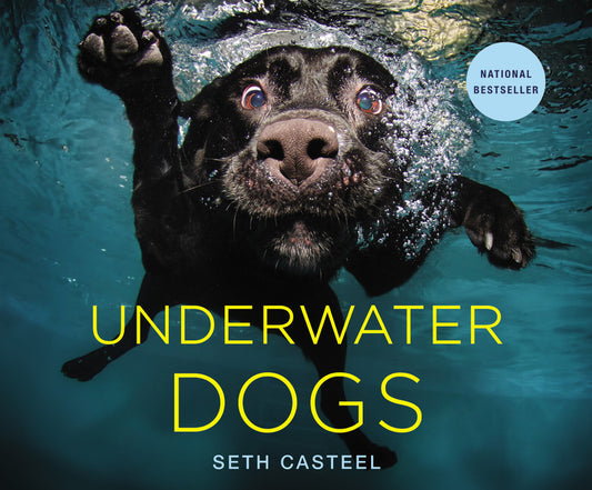 Underwater Dogs book cover