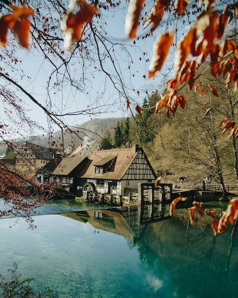 Lakefront cottage in the woods