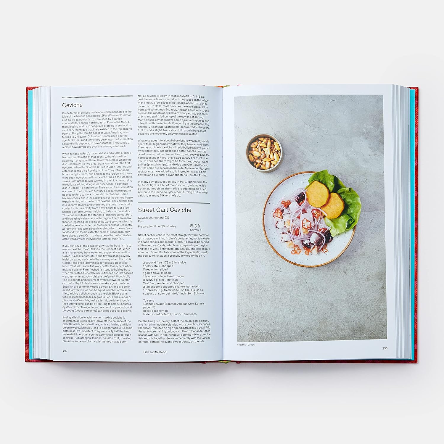 Latin american cookbook inside