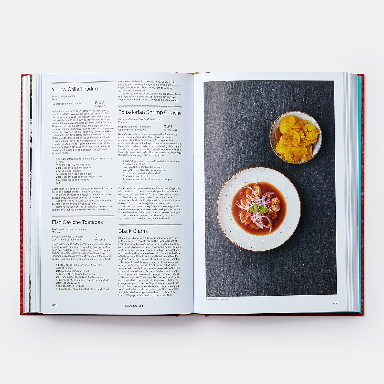 Latin american cookbook inside