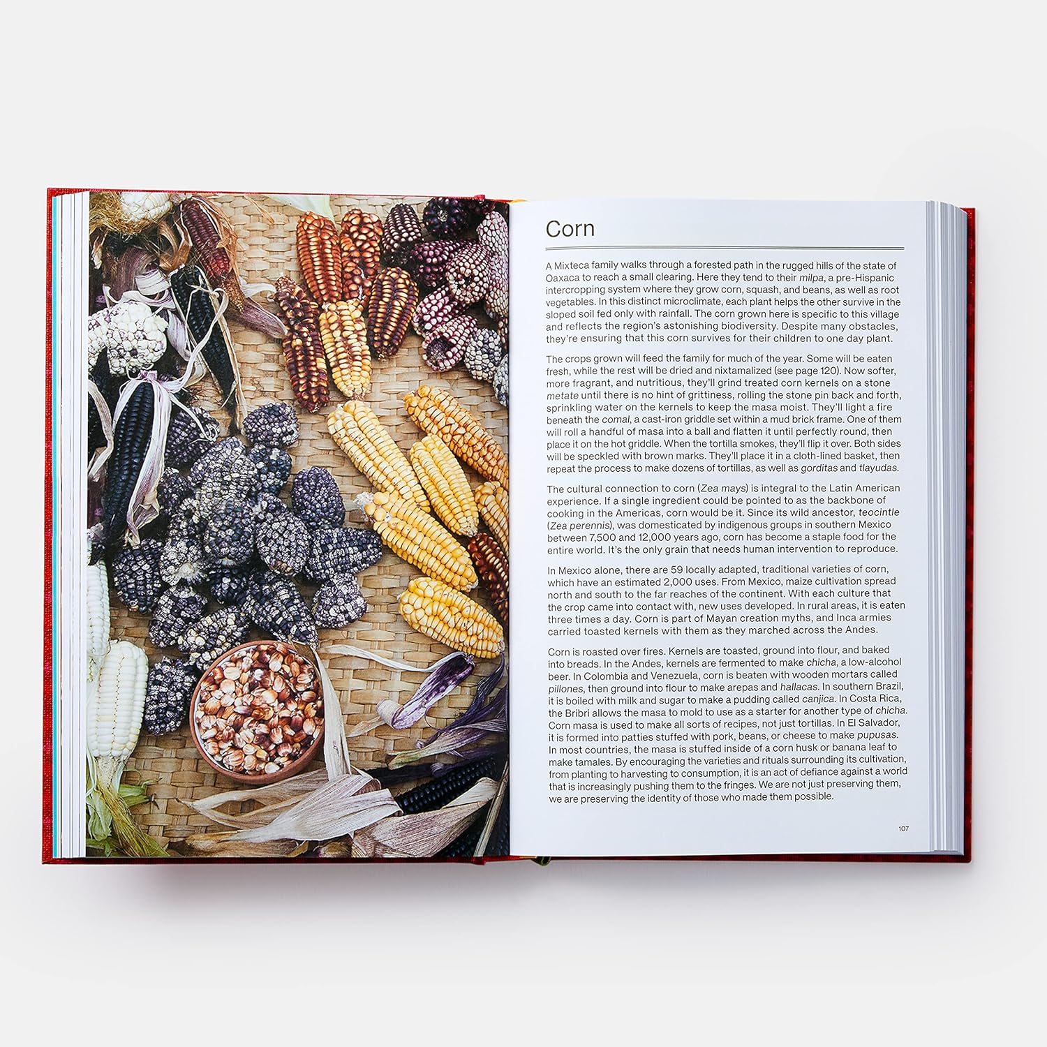 Latin american cookbook inside