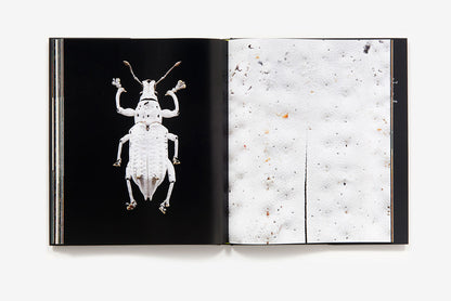 Microsculpture portraits of insects book inside