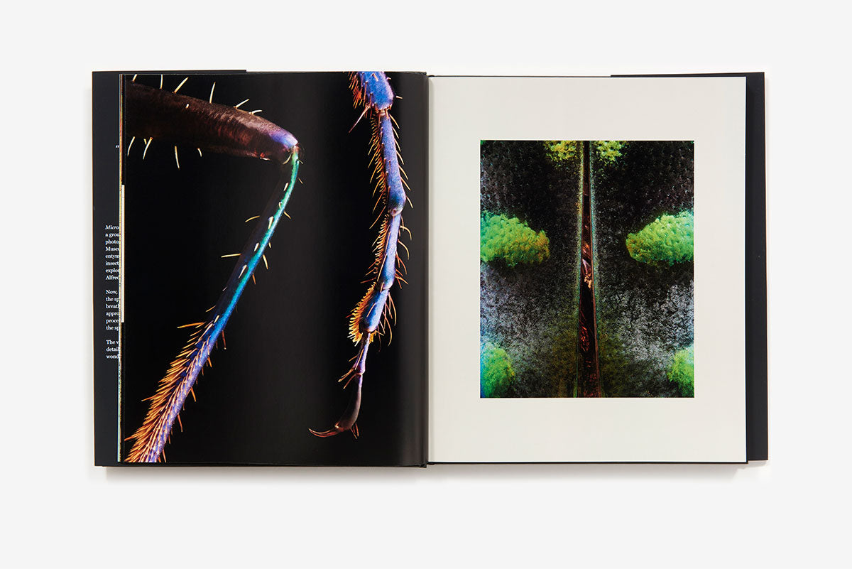 Microsculpture portraits of insects book inside