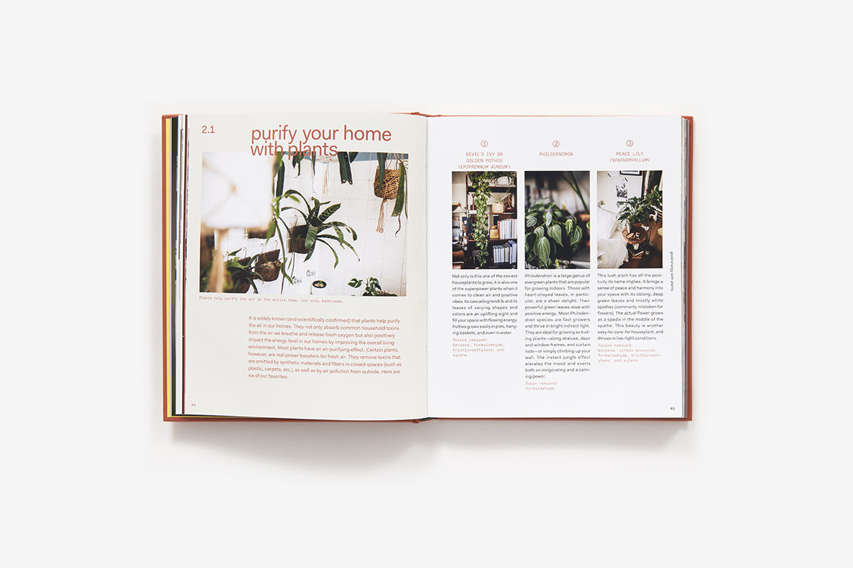 Plant tribe book inside