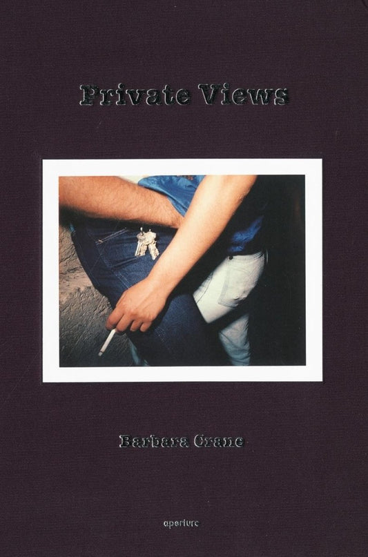 Private Views book cover