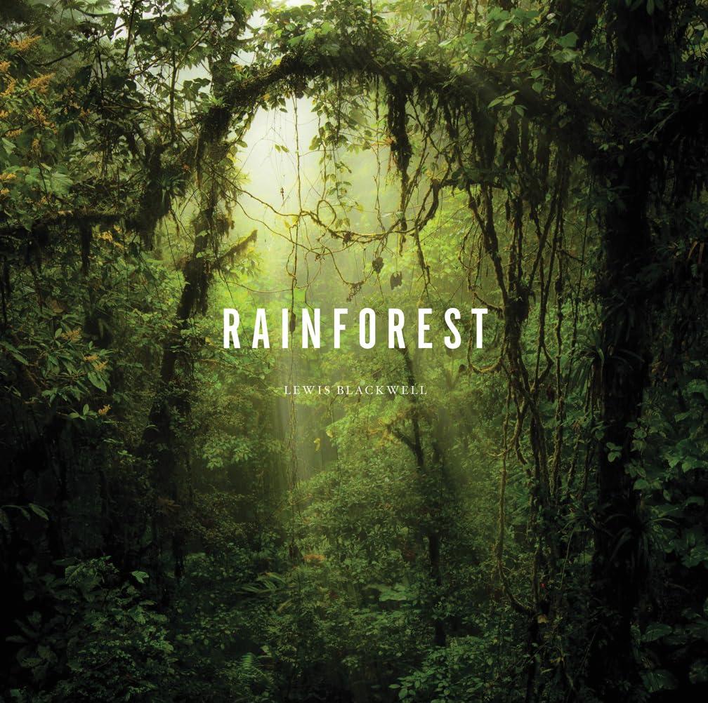 Rainforest book cover