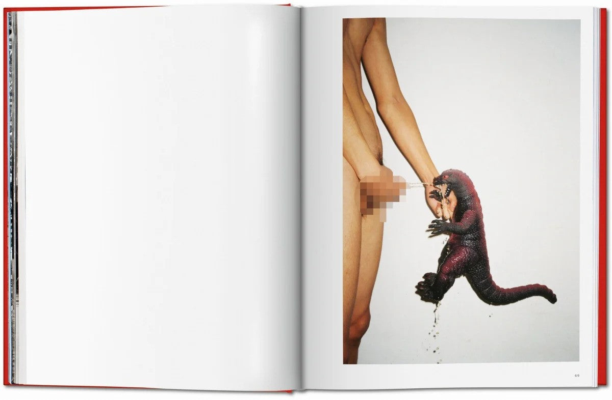 Ren hang book open