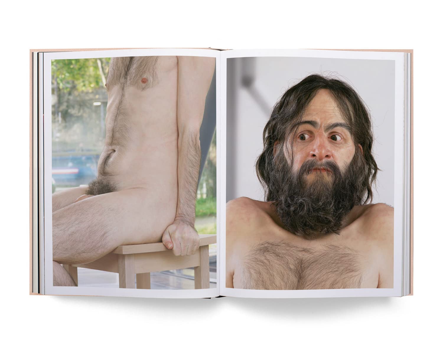 Ron mueck book inside