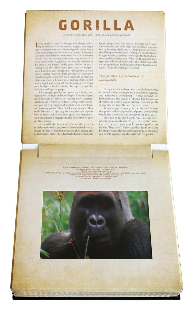 Safari (Photicular) book inside