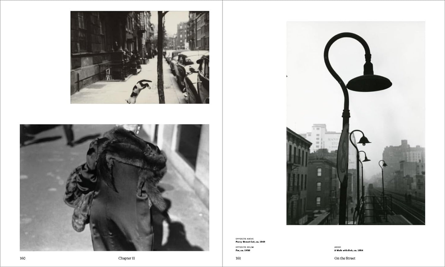 Saul leiter book inside