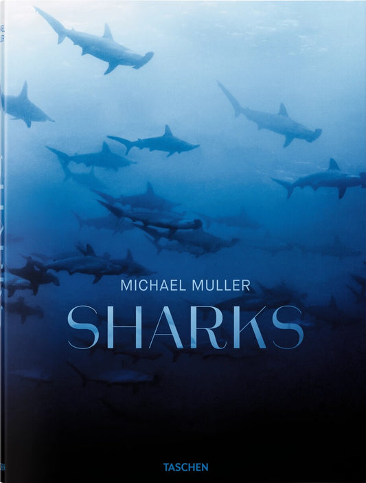 Sharks book cover