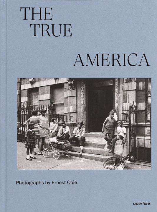 The True America book cover