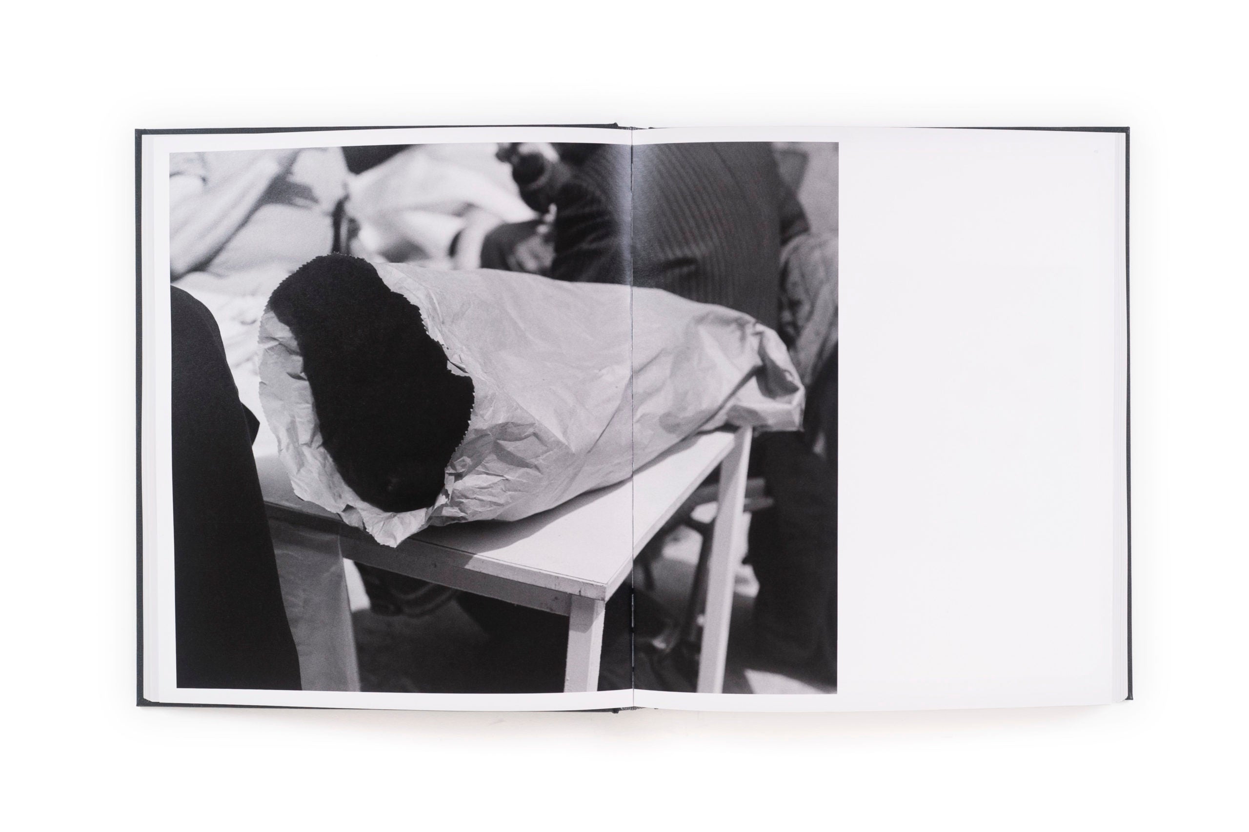 Tom sandberg photographs book inside