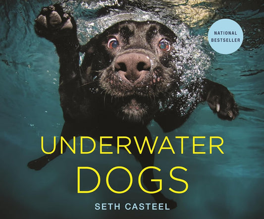 Underwater Dogs book cover